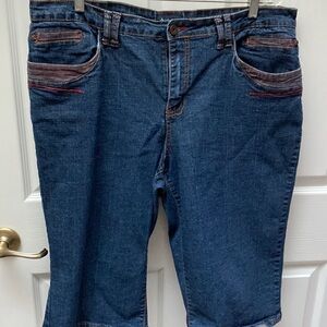 Womens DejaBleu stretch solid blue plus size Jean shorts size 20